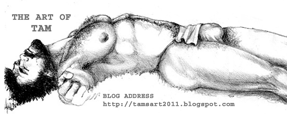 tamsart2011