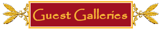 Guest galleries