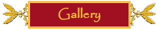 Picture Galleries