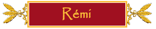 guest_remi.htm