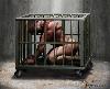 caged hero