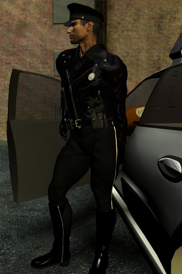 TrafficCop_02.jpg