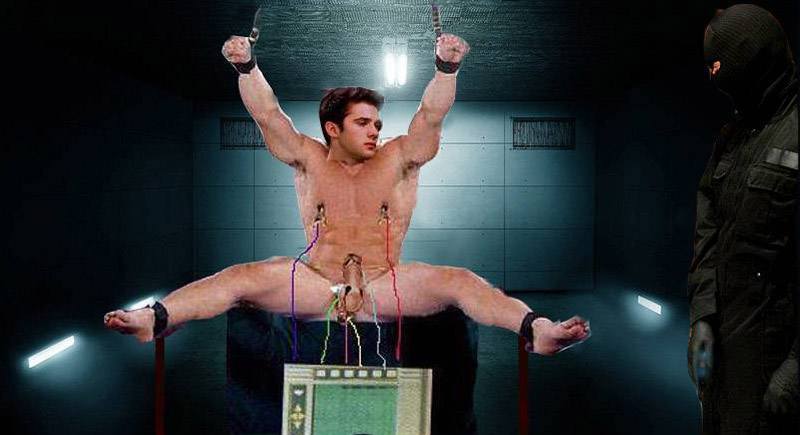 ../../shimages/catglee_thetorturersapprentice/catglee_thetorturersapprentice_c7_htm_m1f54eef.jpg